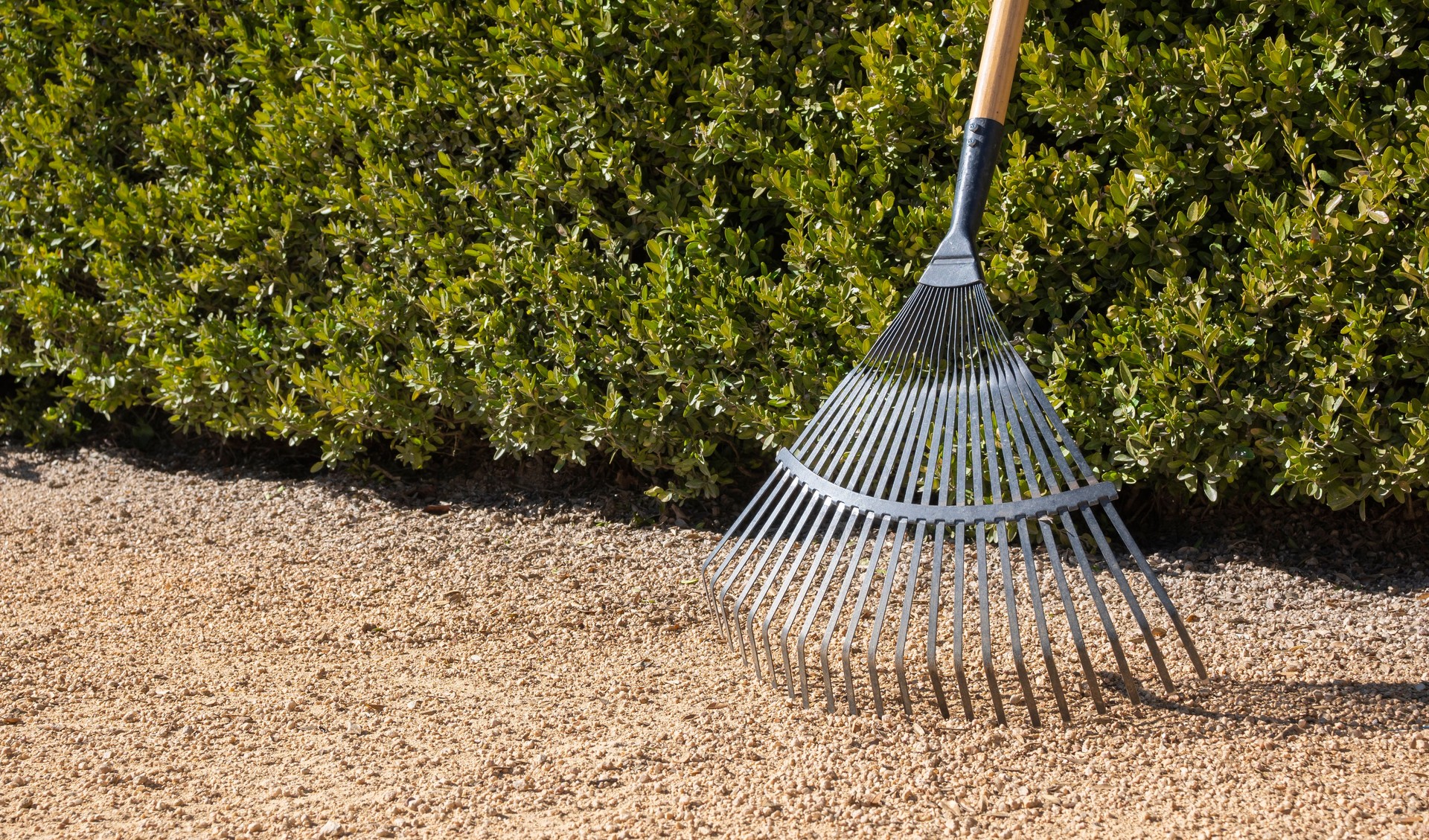 Outil de jardinage, râteau triangulaire en métal et bâton en bois